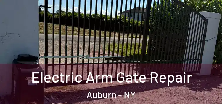 Electric Arm Gate Repair Auburn - NY