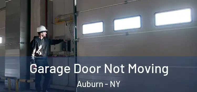  Garage Door Not Moving Auburn - NY