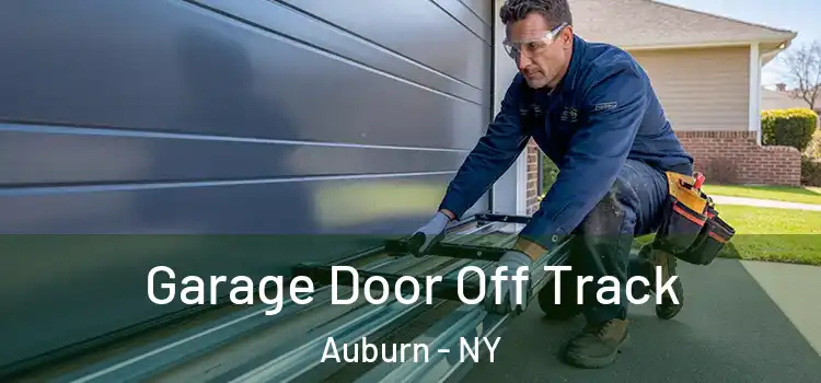  Garage Door Off Track Auburn - NY
