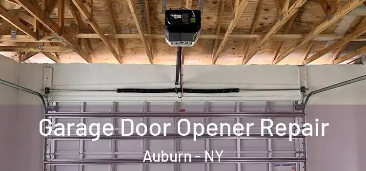  Garage Door Opener Repair Auburn - NY