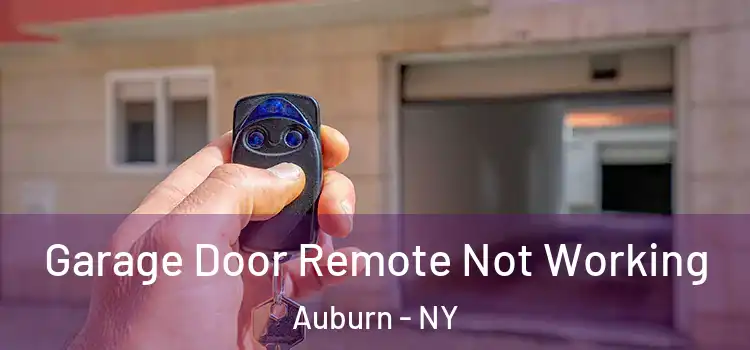  Garage Door Remote Not Working Auburn - NY
