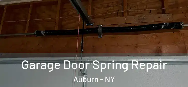  Garage Door Spring Repair Auburn - NY