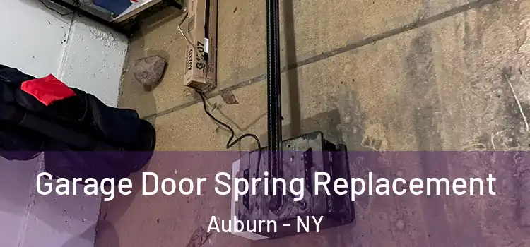  Garage Door Spring Replacement Auburn - NY