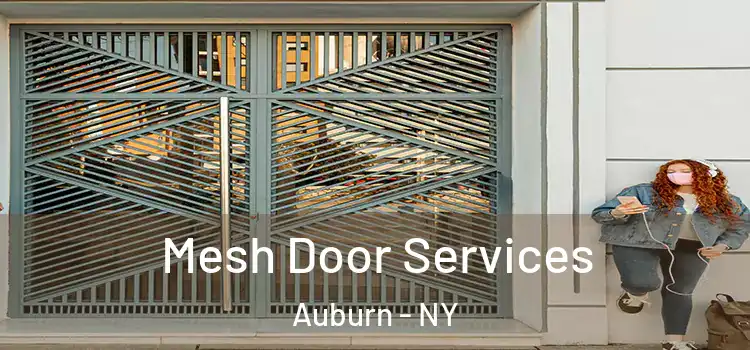 Mesh Door Services Auburn - NY