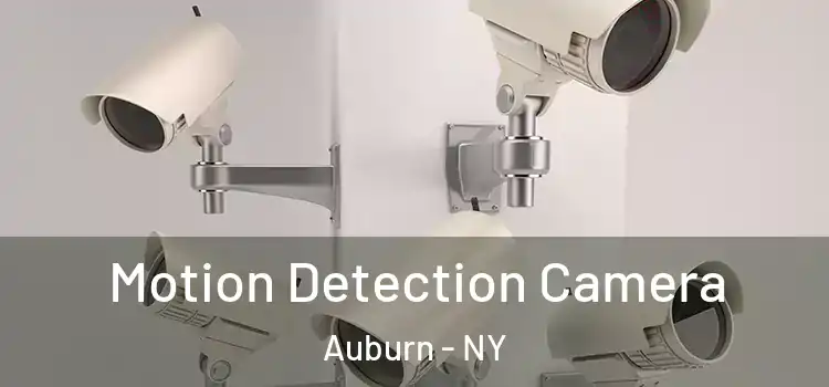  Motion Detection Camera Auburn - NY