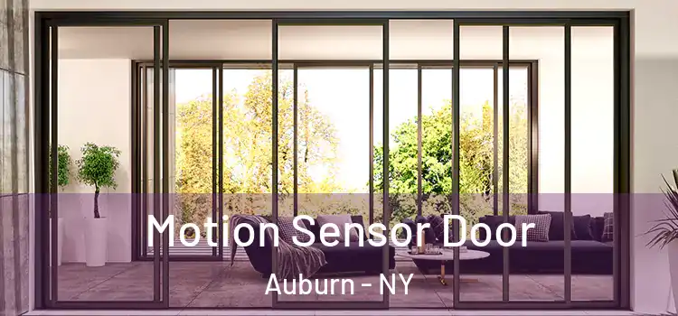 Motion Sensor Door Auburn - NY