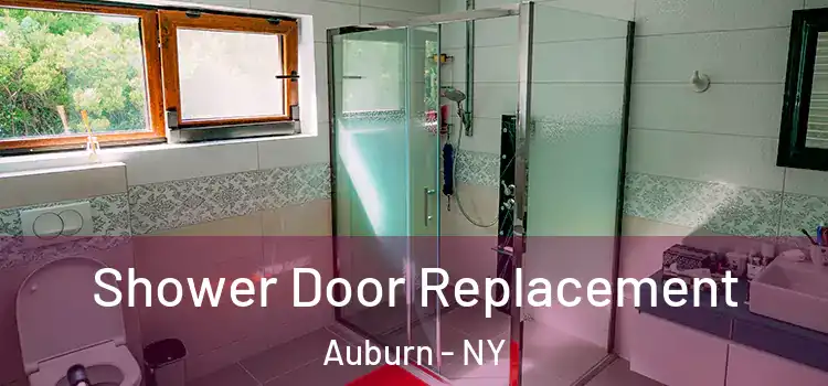 Shower Door Replacement Auburn - NY