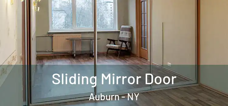  Sliding Mirror Door Auburn - NY